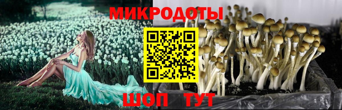 Дзержинский  Галлюциногенные грибы MAGIC MUSHROOMS  Вход с VPN 